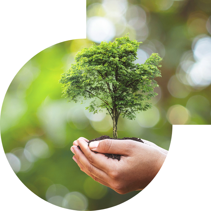 关怀人类、文化、环境与社会